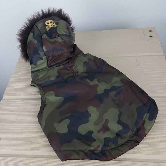 20 gallon freshwater tank